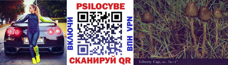 Псилоцибиновые грибы GOLDEN TEACHER Меленки